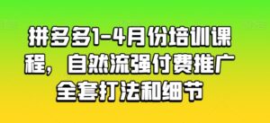 拼多多1-4月份培训课程，自然流强付费推广全套打法和细节-副业吧