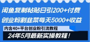 闲鱼复制粘贴日引200+付费创业粉，24年5月最新方法！割韭菜日稳定5000+收益-副业吧