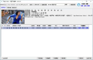 闪豆视频下载器 v3.9.0 多平台视频批量下载-副业吧