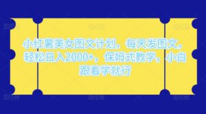 小红薯美女图文计划,每天发图文,轻松日入 2000+,保姆式教学,小白跟着学就行了!-副业吧