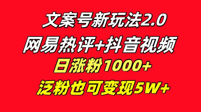 文案号新玩法，网易热评+抖音文案 一周轻松涨粉 5W+ 多种变现模式-副业吧