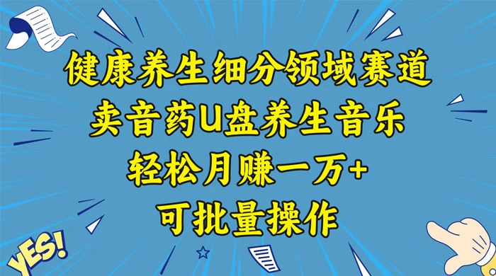 健康养生细分领域赛道，卖音药U盘养生音乐，轻松月赚一万+，可批量操作-副业吧