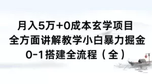 月入 5 万+ 0 成本玄学项目,全方面讲解教学,0-1 搭建全流程(全)小白暴力掘金-副业吧