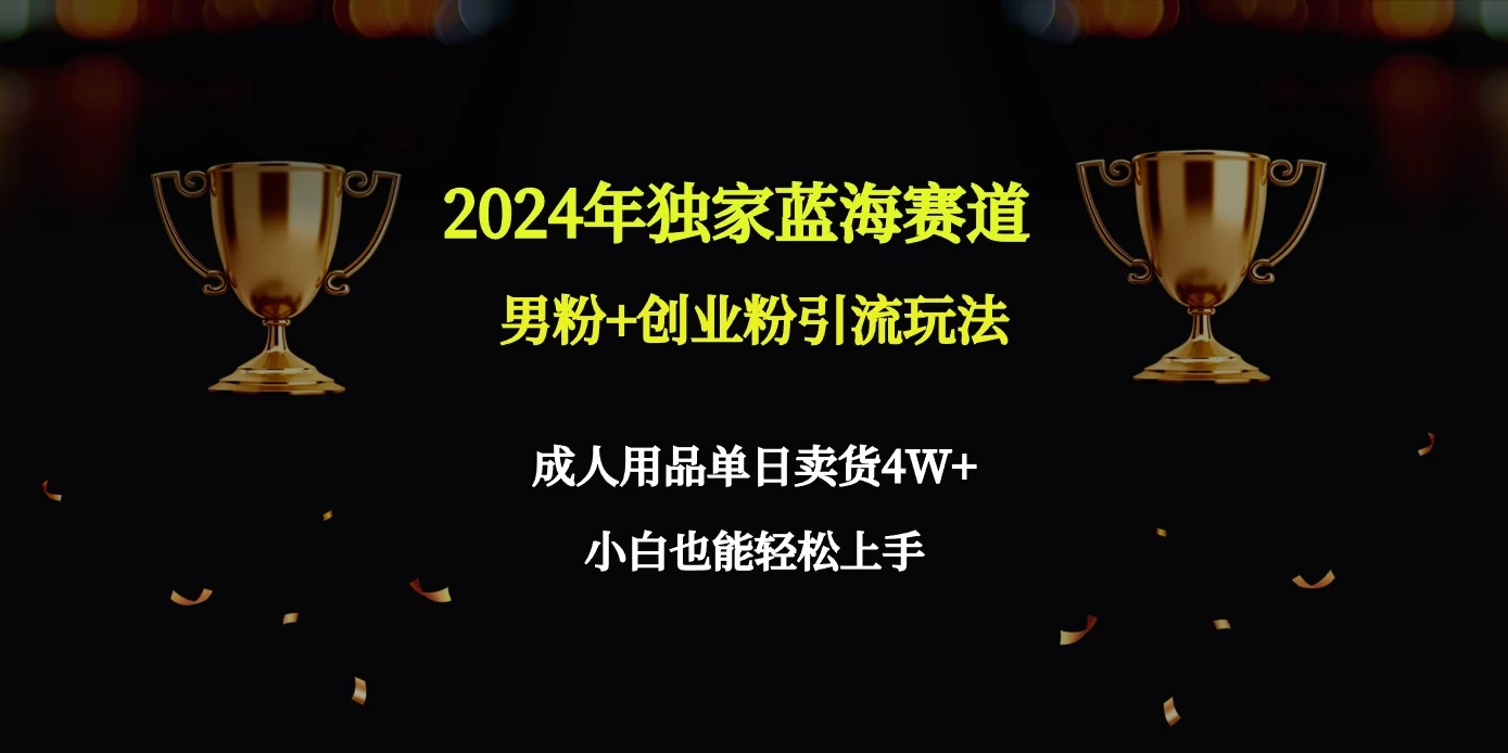 2024独家蓝海赛道，男粉＋创业粉引流玩法。-副业吧