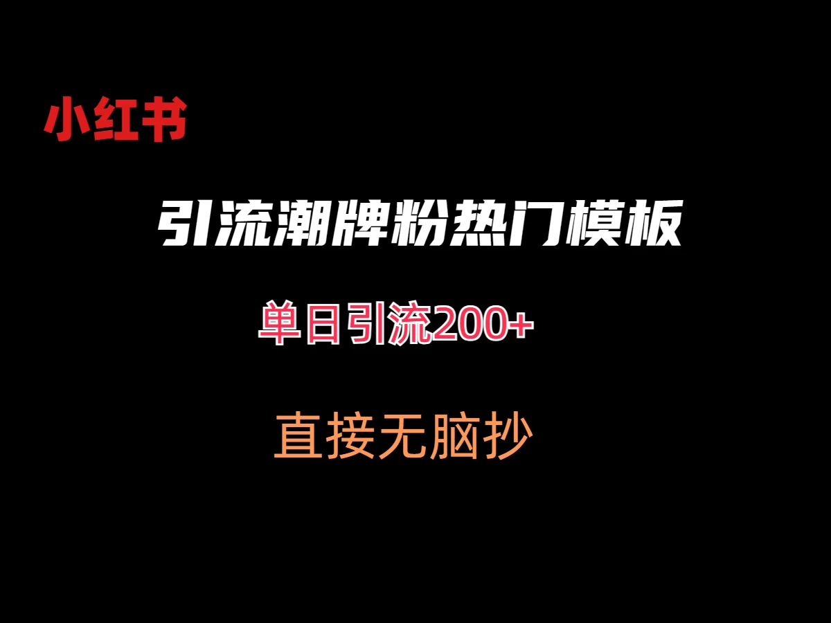 最新小红书无脑套模板单日引流200+潮牌粉-副业吧