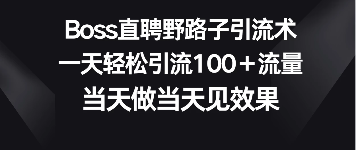 Boss直聘野路子引流术，一天轻松引流100+流量，当天做当天见效果-副业吧