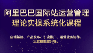 阿里巴巴国际站运营管理理论实操系统化课程：基建、发布、推广、协作、技能提升等-副业吧