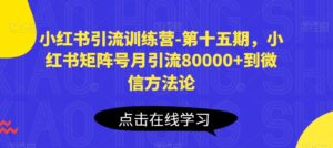 小红书引流训练营-第十五期,小红书矩阵号月引流80000+到微信方法论-副业吧