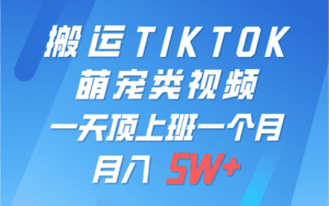 一键搬运TIKTOK萌宠类视频，一部手机即可操作，所有平台均可发布 轻松月入5W+-副业吧