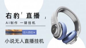 右豹小说无人直播挂机吸金项目,简单易行收益稳定, 月入1000+-副业吧