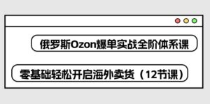 俄罗斯Ozon爆单实战全阶体系课，零基础轻松开启海外卖货（12节课）-副业吧