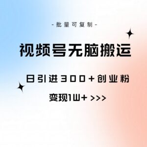 (10612期)视频号无脑搬运日引300+创业粉,变现1W+可批量复制-副业吧