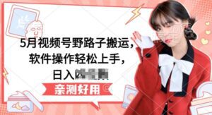 5月视频号野路子搬运，软件操作轻松上手，日入三位数-副业吧