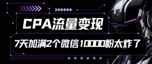 CPA流量变现，7天加满两个微信10000粉-副业吧