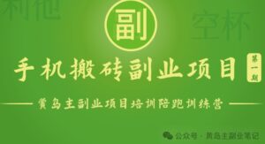 手机搬砖小副业项目训练营1.0，实测1小时收益50+，一部手机轻松日入100+-副业吧