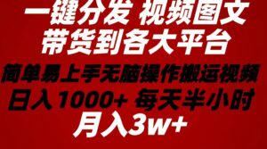 （10667期）2024年 一键分发带货图文视频  简单易上手 无脑赚收益 每天半小时日入1…-副业吧