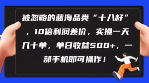 （10696期）被忽略的蓝海品类“十八籽”，10倍利润差价，实操一天几十单 单日收益500+-副业吧