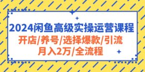 （10711期）2024闲鱼高级实操运营课程：开店/养号/选择爆款/引流/月入2万/全流程-副业吧