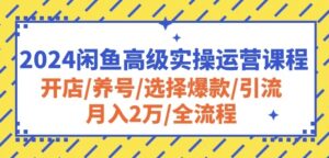 2024闲鱼高级实操运营课程：开店/养号/选择爆款/引流/月入2万/全流程-副业吧