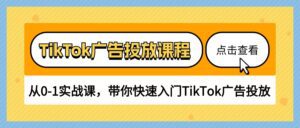（10731期）TikTok广告投放课程，从0-1实战课，带你快速入门TikTok广告投放（30节课）-副业吧