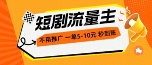 （10741期）短剧流量主，不用推广，一单1-5元，一个小时200+秒到账-副业吧