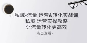 私域流量运营&转化实操课：私域运营实操攻略，让流量转化更高效-副业吧