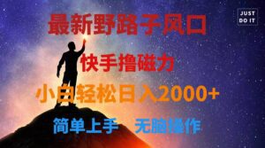 （10754期）最新风口！快手撸磁力，野路子，小白无脑操作日入2000+-副业吧