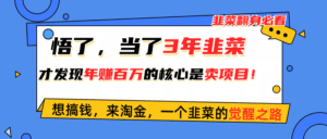 （10759期）悟了，当了3年韭菜，才发现网赚圈年赚100万的核心是卖项目，含泪分享！-副业吧