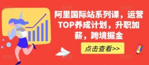 阿里国际站系列课，运营TOP养成计划，升职加薪，跨境掘金-副业吧