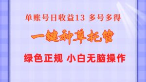 （10776期）一键种草托管 单账号日收益13元  10个账号一天130  绿色稳定 可无限推广-副业吧