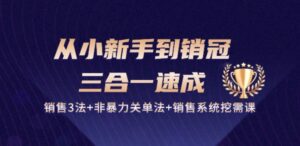 从小新手到销冠 三合一速成：销售3法+非暴力关单法+销售系统挖需课 (27节)-副业吧