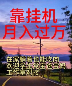 （10838期）靠挂机，日入1000+，躺着也能吃肉，适合宝爸宝妈学生党工作室，电脑手…-副业吧
