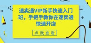 速卖通VIP新手快速入门班，手把手教你在速卖通快速开店-副业吧
