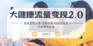 （10871期）大健康 流量 变现2.0：拓高变现 流量/成高客单/低粉高变现/只讲落地实战-副业吧