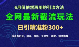 2024全网最新截留玩法,每日引流突破300+-副业吧