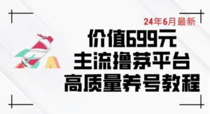 6月最新价值699的主流撸茅台平台精品养号下车攻略-副业吧