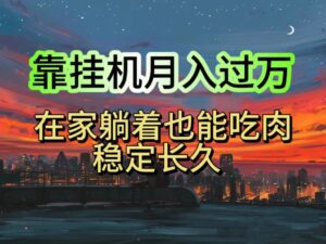 （10921期）挂机项目日入1000+，躺着也能吃肉，适合宝爸宝妈学生党工作室，电脑手…-副业吧