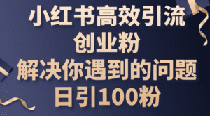（10929期）小红书高效引流创业粉，解决你遇到的问题，日引100粉-副业吧