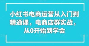 小红书电商运营从入门到精通课,电商店群实战,从0开始到学会-副业吧
