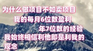 做项目不如卖项目，每月6位数盈利，年7位数经验-副业吧
