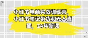 小红书电商实战训练营，小红书笔记带货和无人直播，24年新课-副业吧