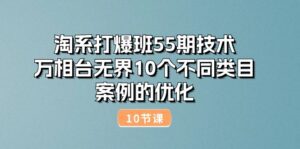 （10996期）淘系打爆班55期技术：万相台无界10个不同类目案例的优化（10节）-副业吧