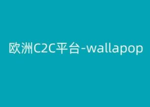 欧洲C2C平台-wallapop-kim跨境电商教程-副业吧