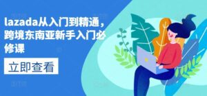 lazada从入门到精通，跨境东南亚新手入门必修课-副业吧