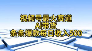 （11038期）视频号最火赛道——Ai带货条条爆款每日收入500-副业吧