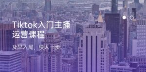 Tiktok入门主播运营课程,及早入局,快人一步(11节)-副业吧