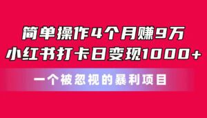 （11048期）简单操作4个月赚9万！小红书打卡日变现1000+！一个被忽视的暴力项目-副业吧