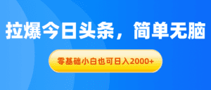 （11077期）拉爆今日头条，简单无脑，零基础小白也可日入2000+-副业吧