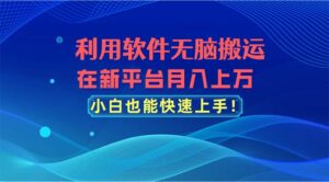 （11078期）利用软件无脑搬运，在新平台月入上万，小白也能快速上手-副业吧