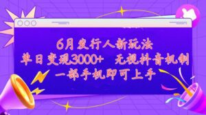 (11092期)发行人计划最新玩法,单日变现3000+,简单好上手,内容比较干货,看完…-副业吧